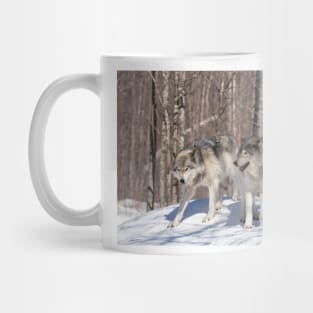 Timber wolves in winter Mug